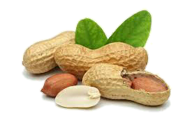 peanuts